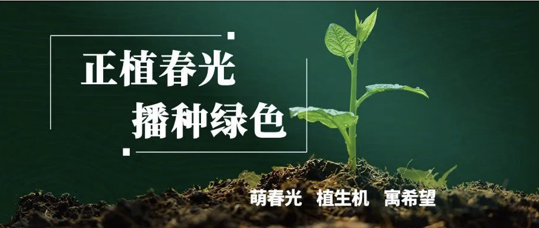 拥抱蓝天，共植美好